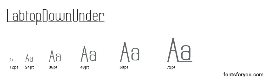 LabtopDownUnder Font Sizes