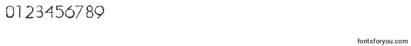 LiterarandomRegular Font – Fonts for Numbers and Digits