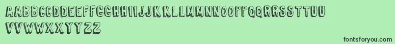 TireShopDemoVersion Font – Black Fonts on Green Background