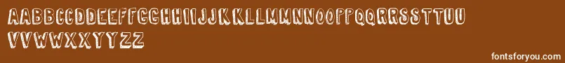 TireShopDemoVersion Font – White Fonts on Brown Background