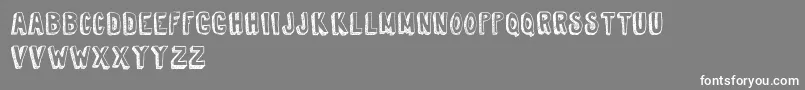 TireShopDemoVersion Font – White Fonts on Gray Background