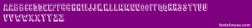 TireShopDemoVersion Font – White Fonts on Purple Background