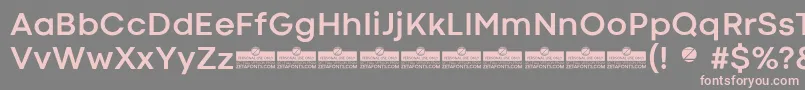 CodecColdBoldTrial Font – Pink Fonts on Gray Background