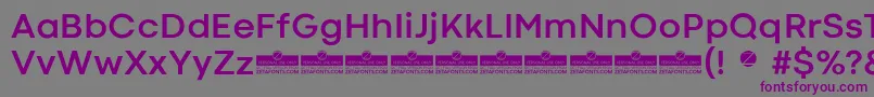 フォントCodecColdBoldTrial – 紫色のフォント、灰色の背景