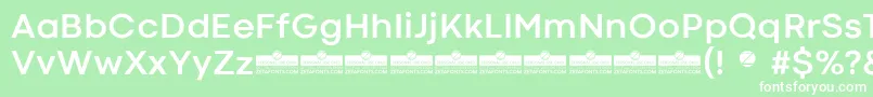 CodecColdBoldTrial Font – White Fonts on Green Background