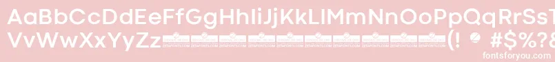 CodecColdBoldTrial Font – White Fonts on Pink Background