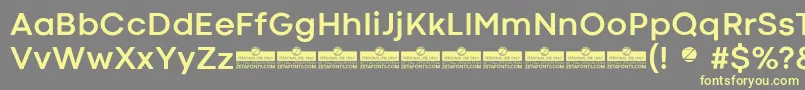 CodecColdBoldTrial Font – Yellow Fonts on Gray Background