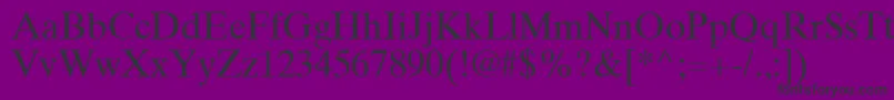 TimesTenGreekUpright Font – Black Fonts on Purple Background