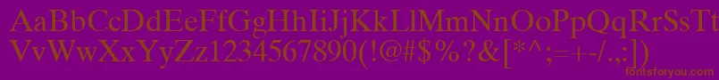 TimesTenGreekUpright Font – Brown Fonts on Purple Background