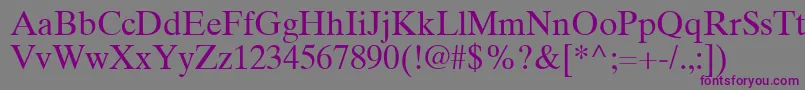 TimesTenGreekUpright Font – Purple Fonts on Gray Background