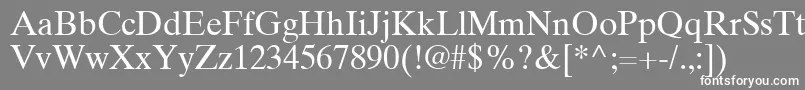 TimesTenGreekUpright Font – White Fonts on Gray Background