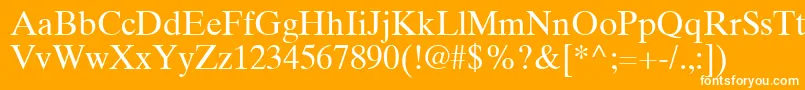 TimesTenGreekUpright Font – White Fonts on Orange Background