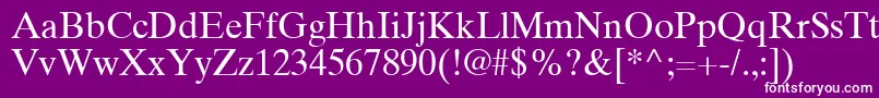 TimesTenGreekUpright Font – White Fonts on Purple Background