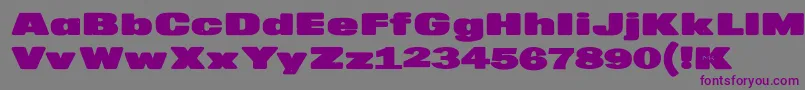 フォントMkaputtExpanded – 紫色のフォント、灰色の背景