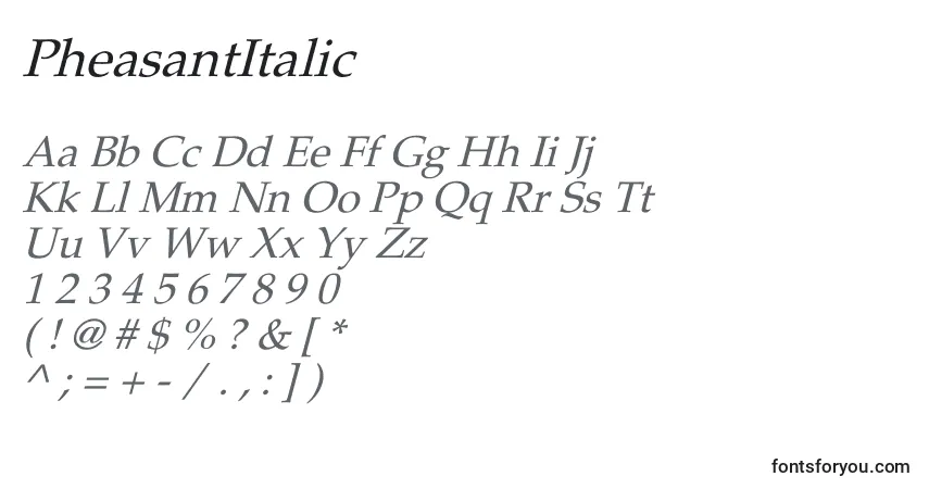 Fuente PheasantItalic - alfabeto, números, caracteres especiales