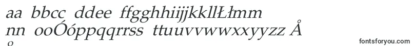 PheasantItalic Font – Polish Fonts