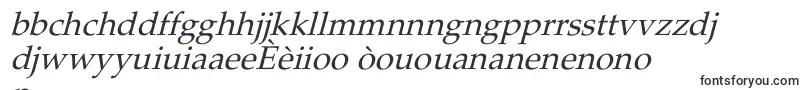 PheasantItalic Font – Creole Fonts