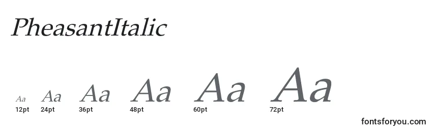 Размеры шрифта PheasantItalic