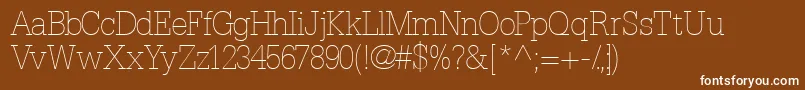 Installationlightssk Font – White Fonts on Brown Background