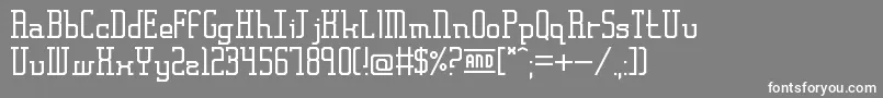 FrankfurtMesseSerif Font – White Fonts on Gray Background