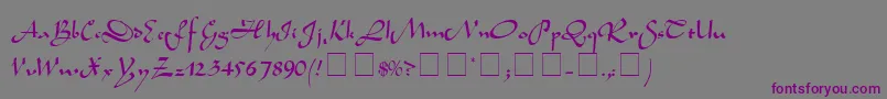 Шрифт SemiaScriptSsi – фиолетовые шрифты на сером фоне
