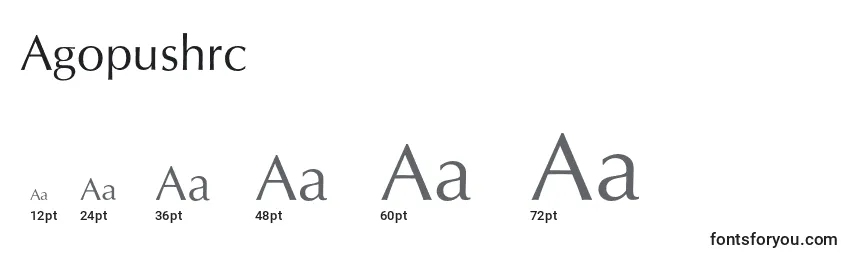 Размеры шрифта Agopushrc