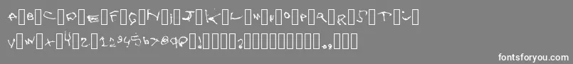 フォントZoe – 灰色の背景に白い文字