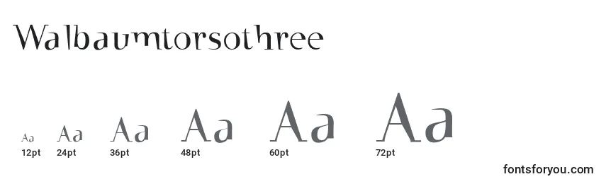 Walbaumtorsothree Font Sizes