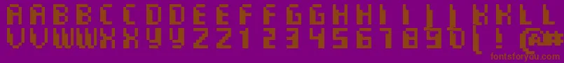 CommoMonospaced Font – Brown Fonts on Purple Background