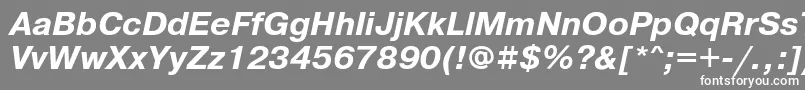 フォントPragmaticagttBolditalic – 灰色の背景に白い文字