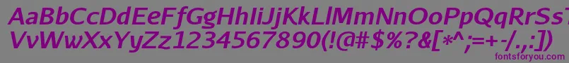 AurulentsansBolditalic Font – Purple Fonts on Gray Background