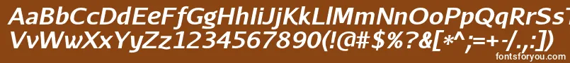 Шрифт AurulentsansBolditalic – белые шрифты на коричневом фоне