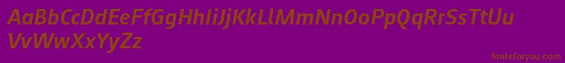 Augustsans66mediumitalic-fontti – ruskeat fontit violetilla taustalla