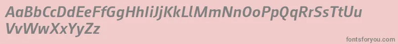 Augustsans66mediumitalic Font – Gray Fonts on Pink Background