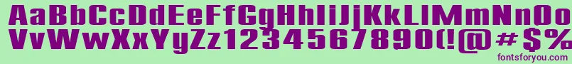 Compact185b Font – Purple Fonts on Green Background
