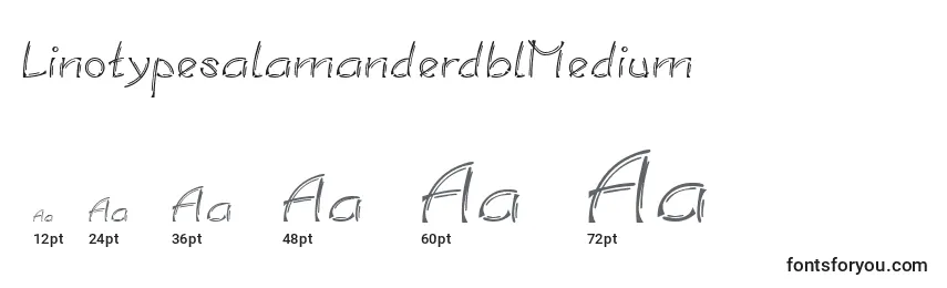 Размеры шрифта LinotypesalamanderdblMedium