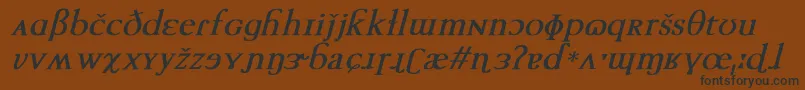 TechphoneticBoldItalic Font – Black Fonts on Brown Background