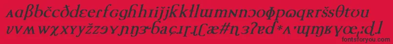 TechphoneticBoldItalic Font – Black Fonts on Red Background