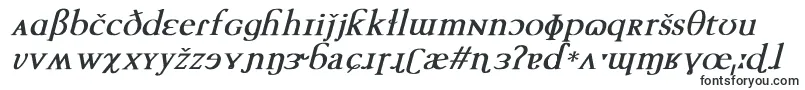 TechphoneticBoldItalic Font – Fonts for Microsoft Office