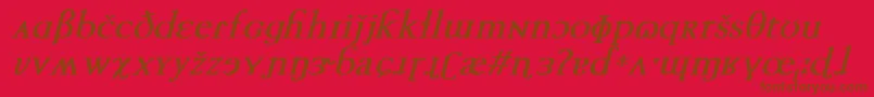 TechphoneticBoldItalic Font – Brown Fonts on Red Background