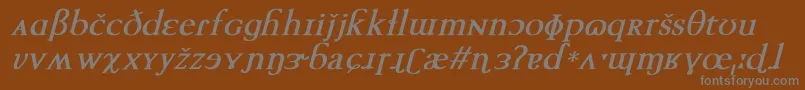 TechphoneticBoldItalic Font – Gray Fonts on Brown Background