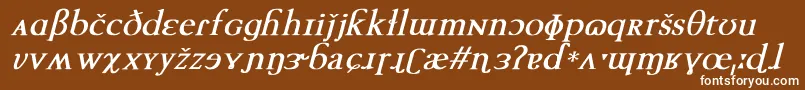 フォントTechphoneticBoldItalic – 茶色の背景に白い文字