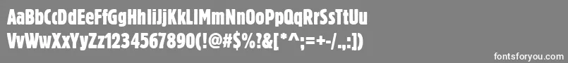 Blockdregextcon Font – White Fonts on Gray Background