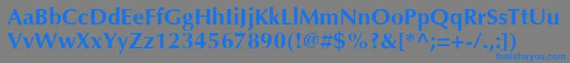 OptimaLtBold Font – Blue Fonts on Gray Background