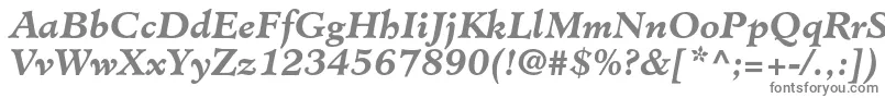 MinisterstdBolditalic-fontti – harmaat kirjasimet valkoisella taustalla