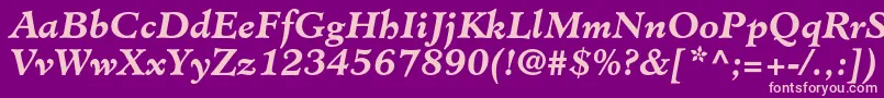 MinisterstdBolditalic Font – Pink Fonts on Purple Background