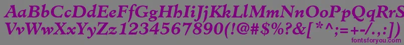 Шрифт MinisterstdBolditalic – фиолетовые шрифты на сером фоне