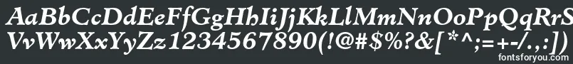 MinisterstdBolditalic Font – White Fonts