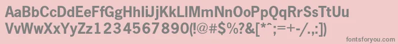NewspapercBold Font – Gray Fonts on Pink Background