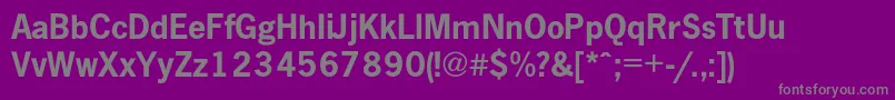 NewspapercBold Font – Gray Fonts on Purple Background